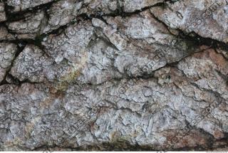 Photo Texture of Rock 0009